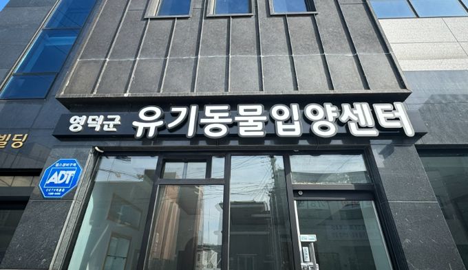 영덕군 유기동물 입양센터