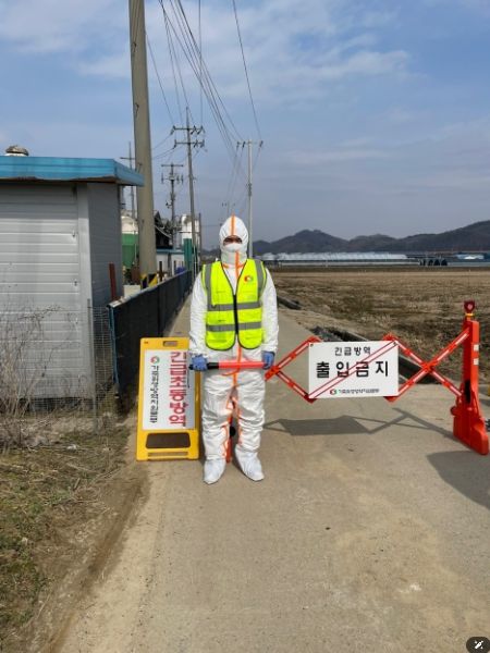 1. 천안시는 초동방역팀을 투입해 고병원성 조류인플루엔자(AI) 발생농장 출입을 통제하고 있다.