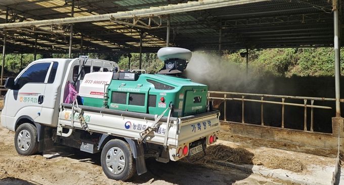영주시, 상반기 긴급 소·염소 구제역 일제접종 실시