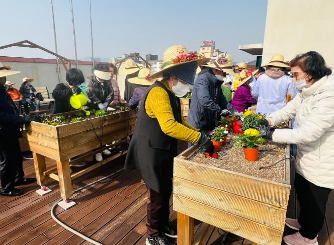 옥상텃밭에서 꽃 피는 기억, 치매 어르신과 거제시치매안심센터가 함께하는 치유농업