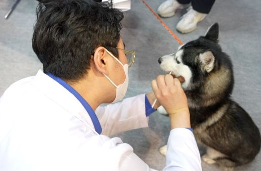 피터페터 서비스 관련 이미지