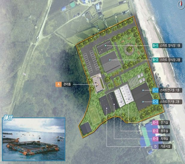 울진군, 방어 스마트양식장 조성