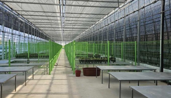 2025년 춘란 재배온실 임대 모집