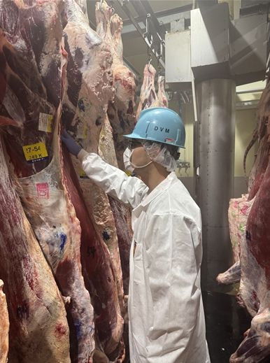 인천시, 추석 앞두고 축산물 생산단계부터 위생관리 강화한다