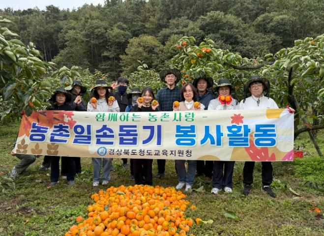 청도교육지원청, 감 수확 일손돕기 봉사활동