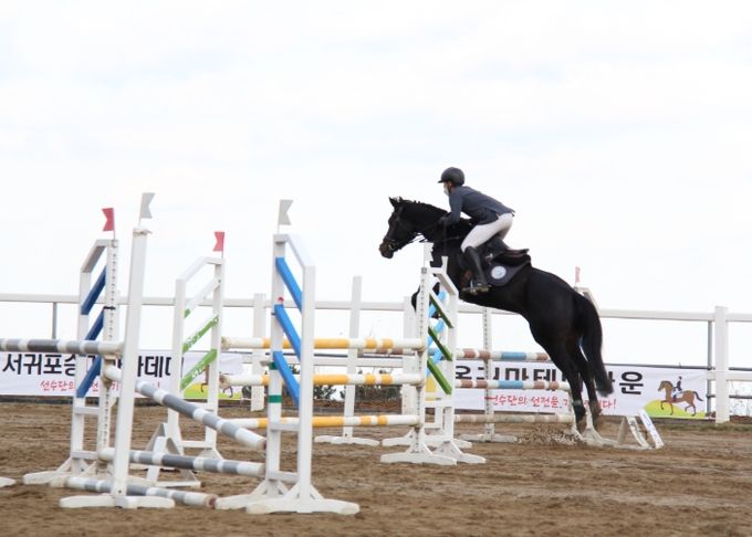 2024년 아시아유소년 승마대회