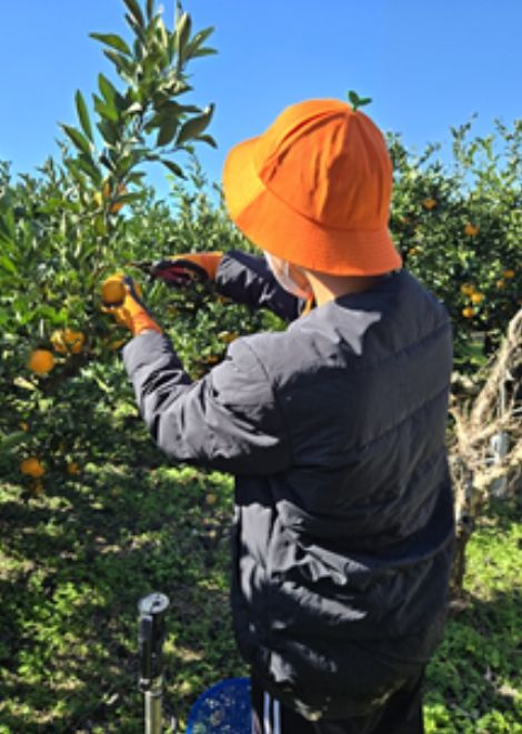 마음치유 프로그램