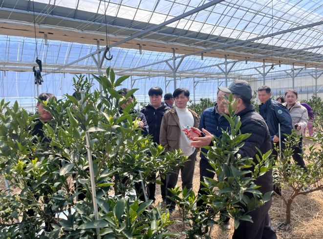 만감류 재배 현장 컨설팅