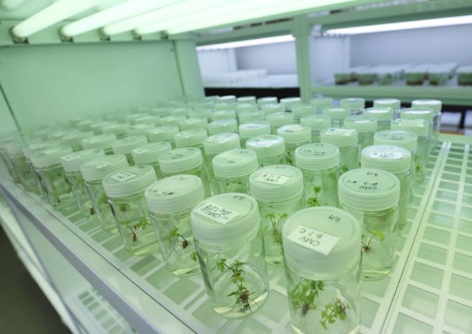 산림약용자원 연구